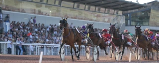 Feurs s’apprête à vibrer au rythme du Grand National du Trot !