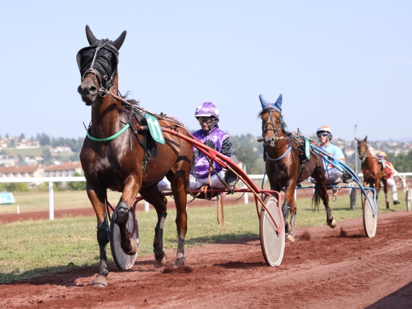 Journée de gala le 16 octobre à l’hippodrome de Saint-Galmier