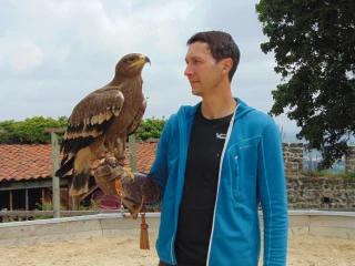 L’École des oiseaux magiques, nouveauté à la Volerie du Forez