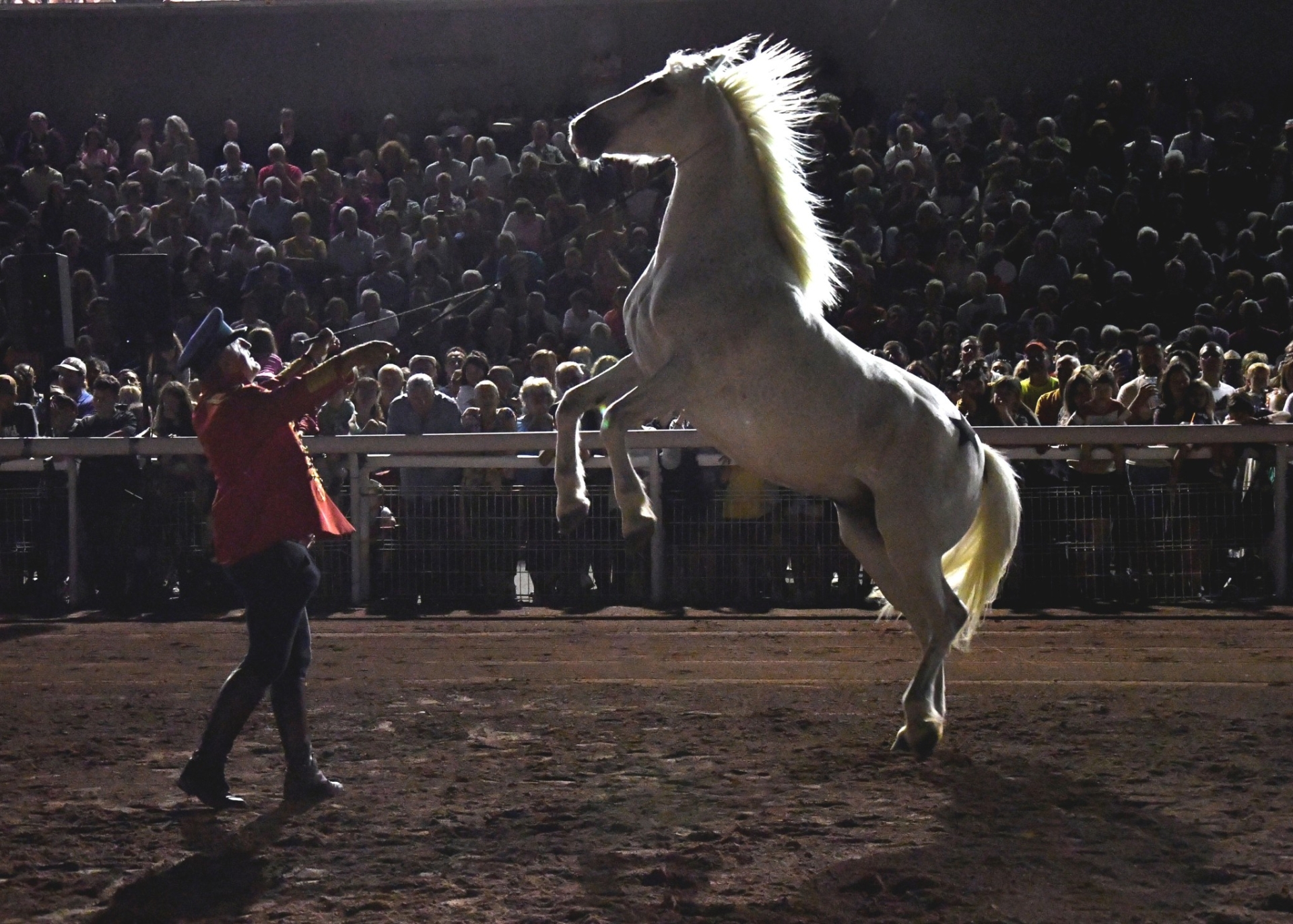 Un programme en or pour la Fête de l’hippodrome